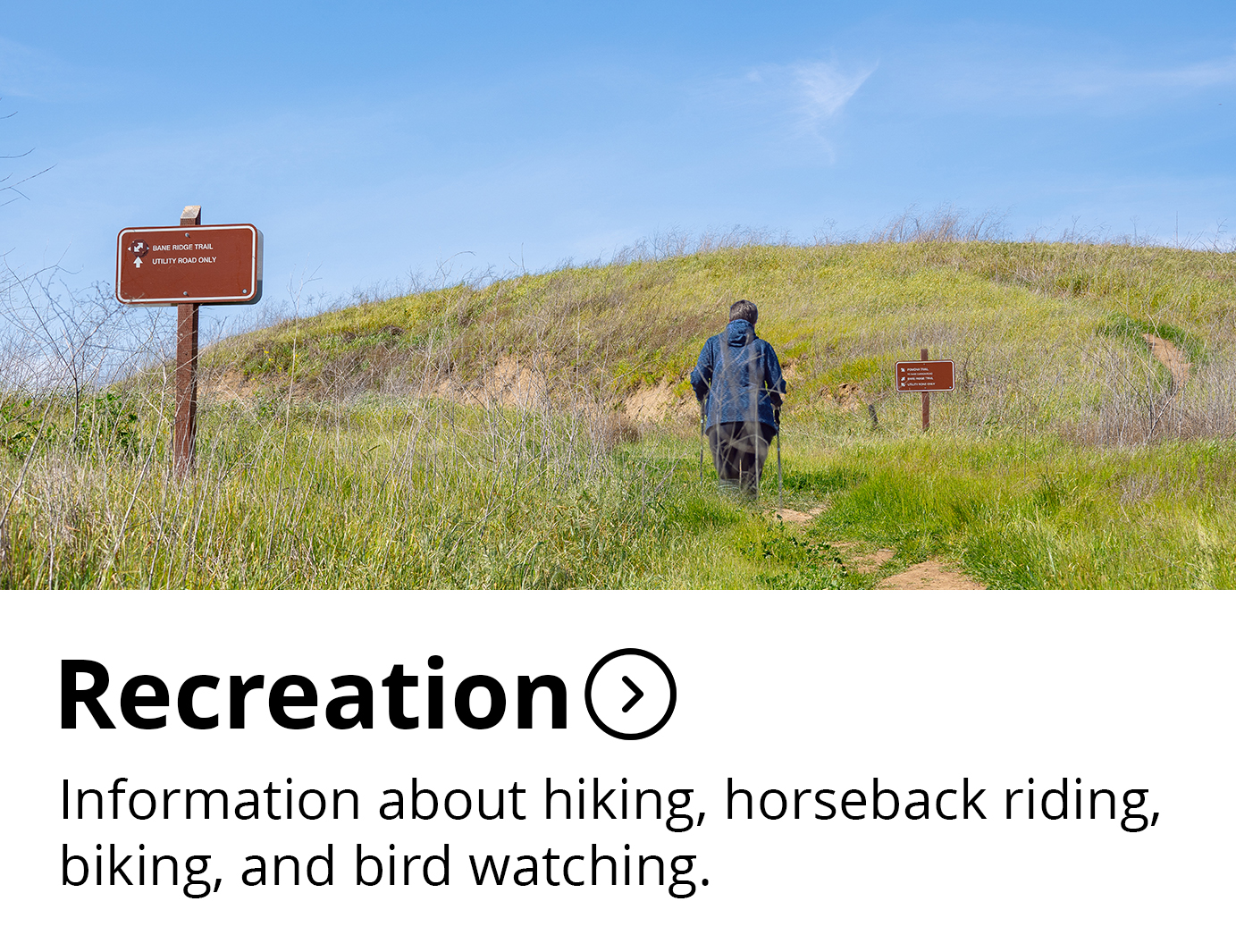 Recreation Button 
